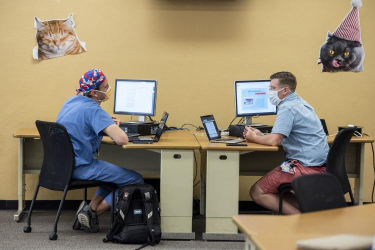 Two masked students in scrubs sit apart with two posters of cats on walls.